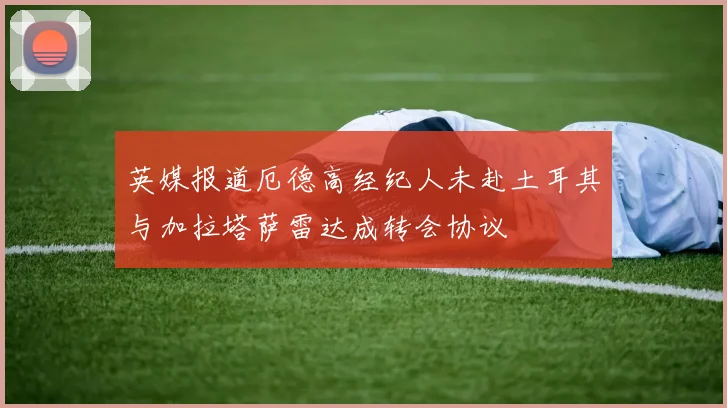 英媒报道厄德高经纪人未赴土耳其与加拉塔萨雷达成转会协议
