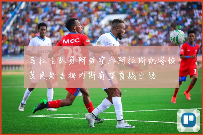 乌拉圭队员阿劳霍和阿拉斯凯塔恢复良好吉梅内斯有望首战出场